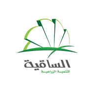 software house egypt